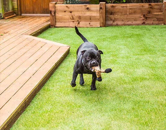 artificial turf & fake grass pros