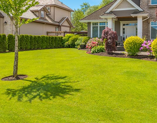 nearest artificial turf & fake grass